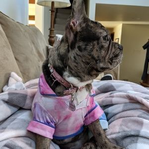 Dog Pajamas size Small